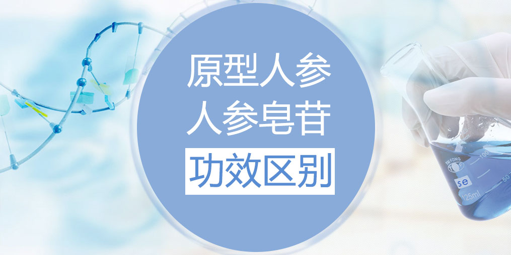 人參和人參皂苷的功效區(qū)別在哪里？