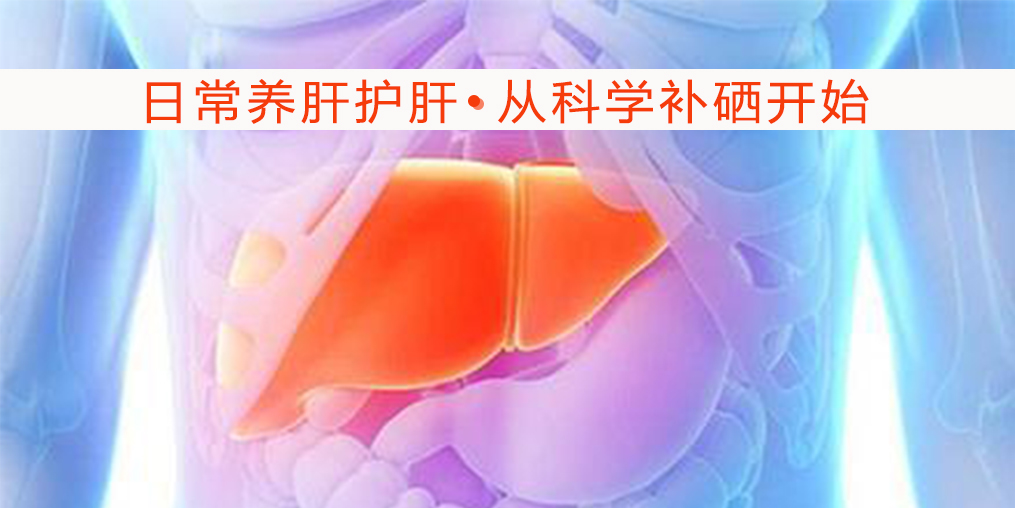 秋季保護(hù)肝臟健康,離不開微量元素硒的保護(hù)