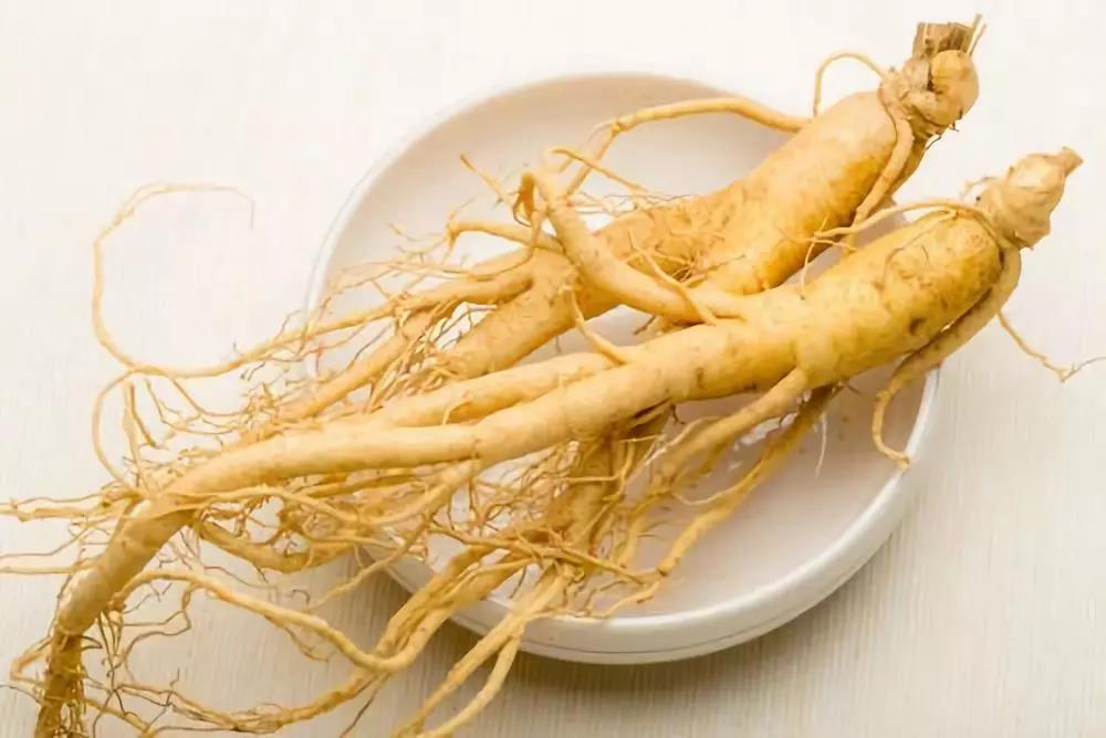 秋季養(yǎng)肺潤(rùn)肺，能吃人參皂苷嗎？