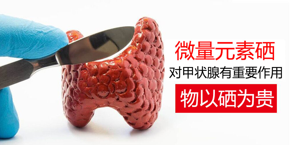 物以“硒”為貴,甲狀腺疾病能適當(dāng)補(bǔ)硒嗎?