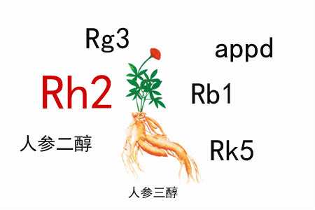 化療常見副作用有哪些？