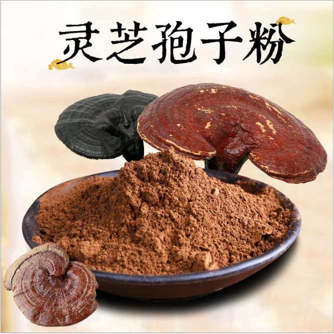 2022-2028年中國靈芝孢子粉行業(yè)市場前景分析